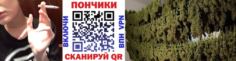 Купить наркотики цена Томари СОЛЬ  Лсд 25  Канабис 