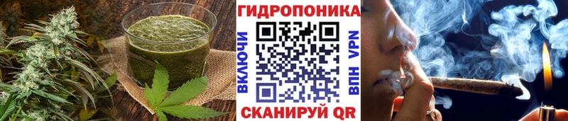 Cannafood конопля  МЕГА ONION  Томари 