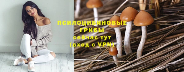а пвп мука Абаза