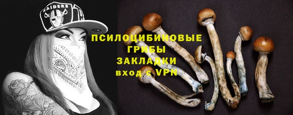 мяу мяу мука Алексеевка